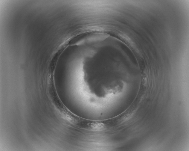 X0000066510355200603171158