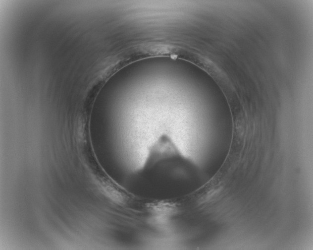 X0000066510359200603171158