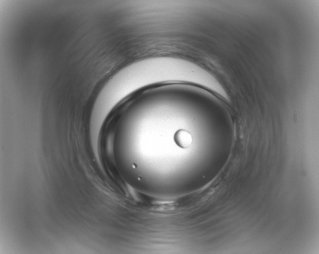 X0000066510362200603171158
