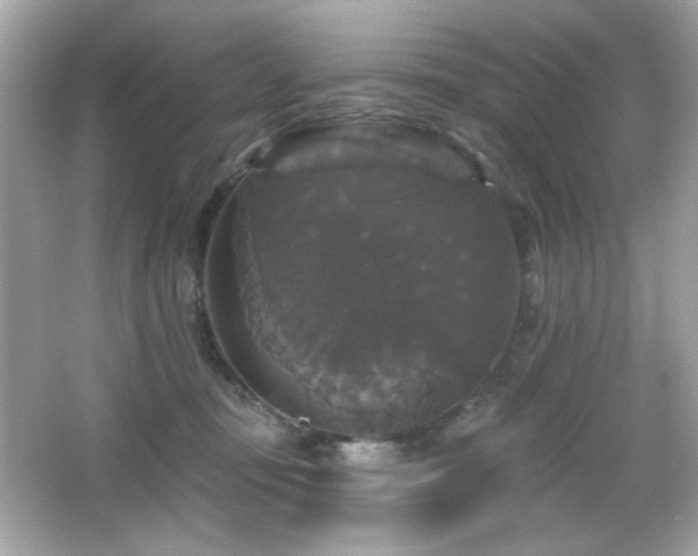 X0000066510371200603171158
