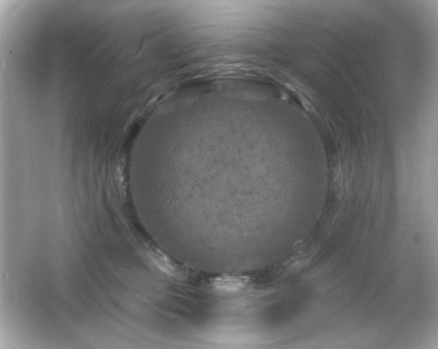 X0000066510373200603171158