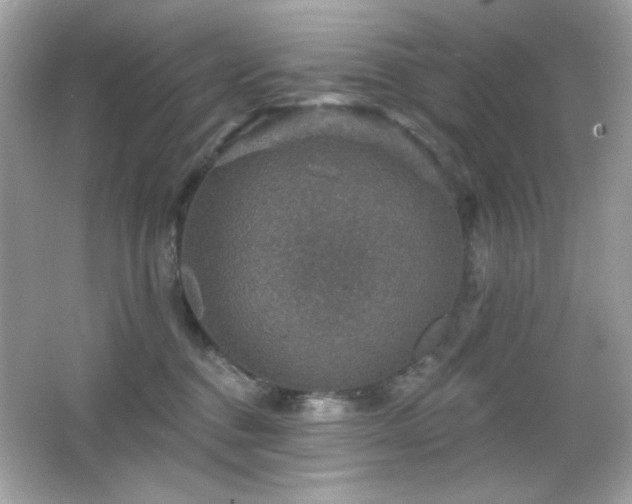 X0000066510376200603171158