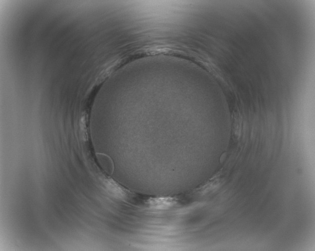 X0000066510378200603171158