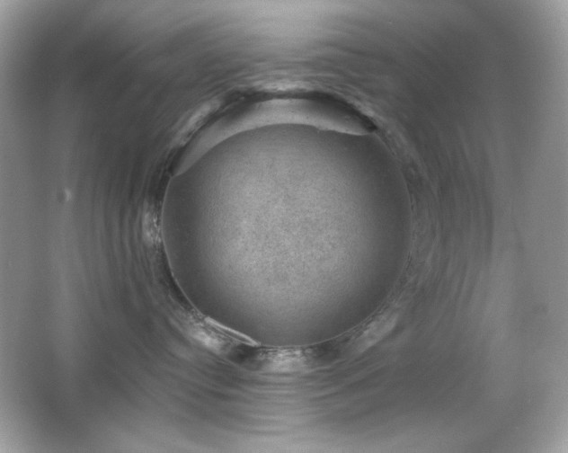 X0000066510384200603171158