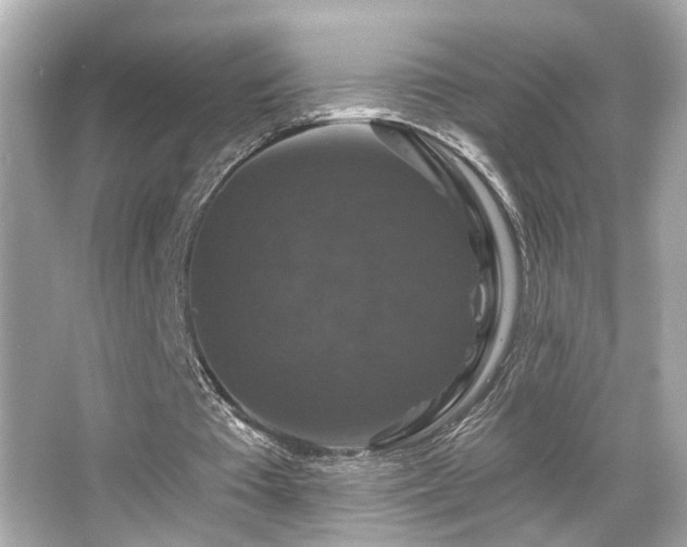 X0000066510385200603171157