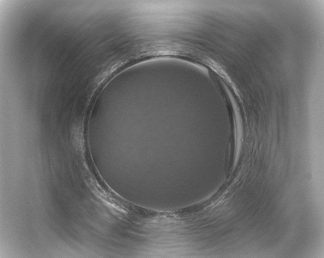 X0000066510386200603171157
