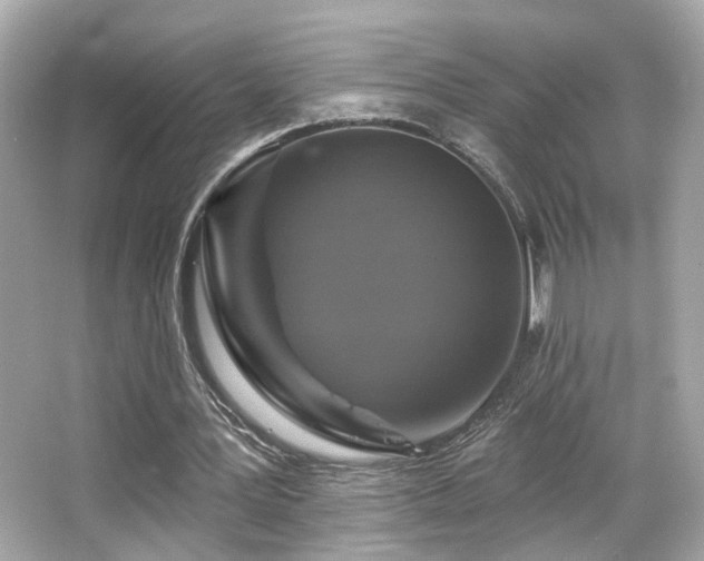 X0000066510387200603171157