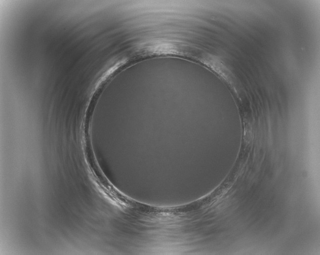 X0000066510390200603171157