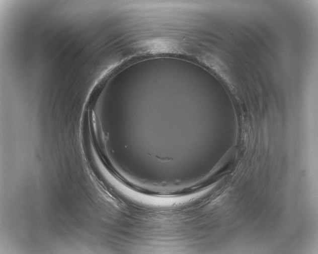 X0000066510391200603171157