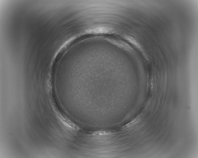 X0000066510392200603171157