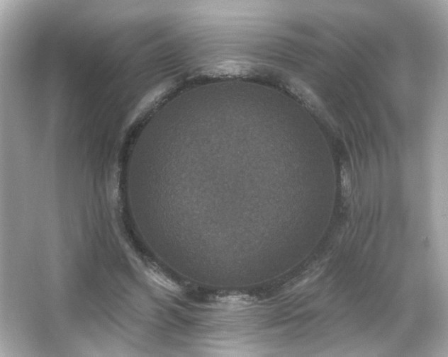 X0000066510396200603171157