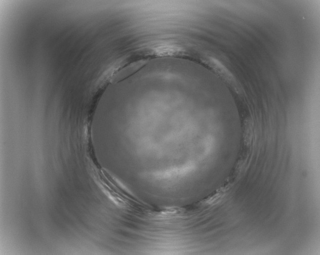 X0000066510405200603171157