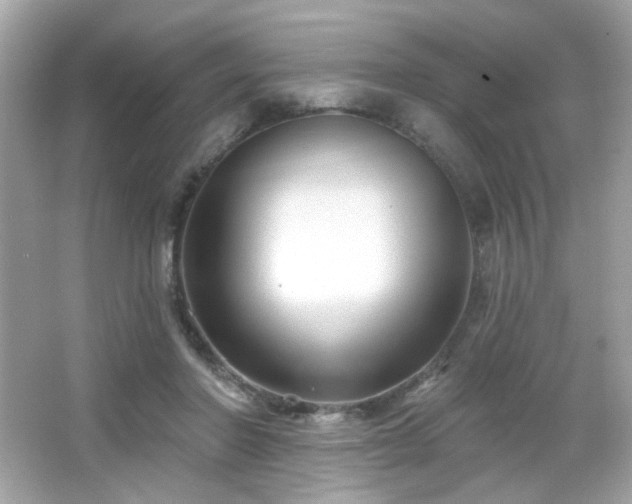 X0000066510406200603171157