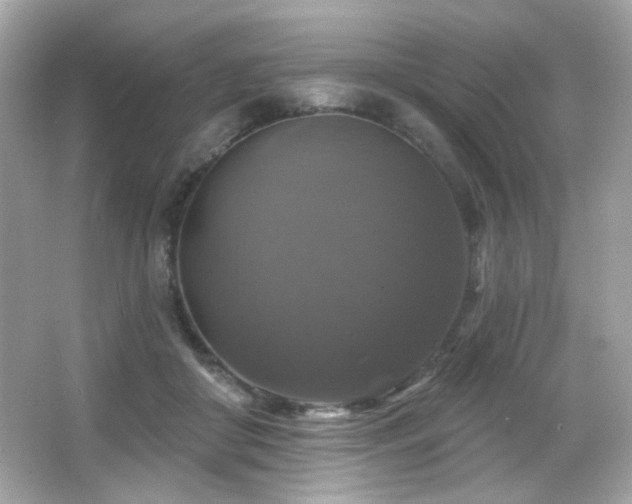 X0000066510410200603171157