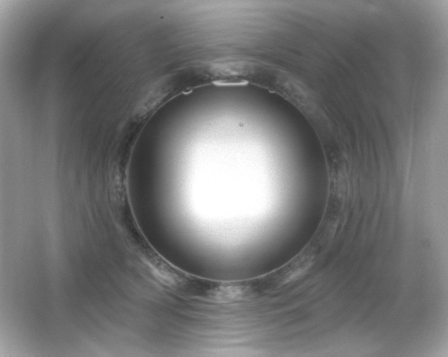 X0000066510418200603171157