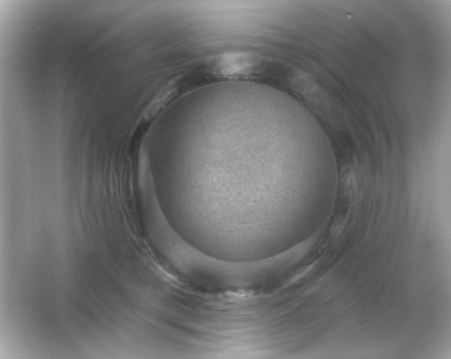 X0000066510421200603171157