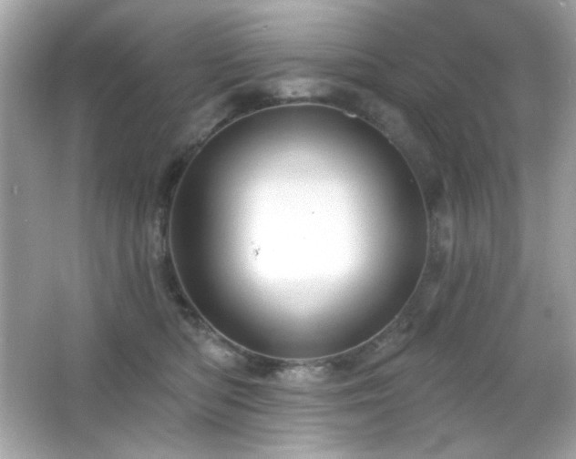 X0000066510422200603171157