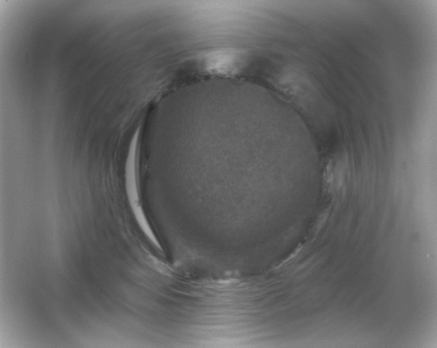 X0000066510424200603171157