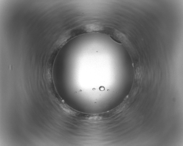 X0000066510426200603171157