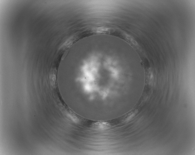 X0000066510427200603171157