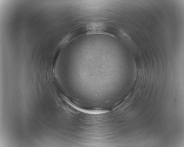 X0000066510429200603171157