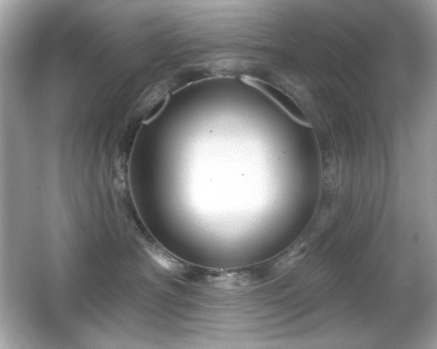 X0000066510430200603171157