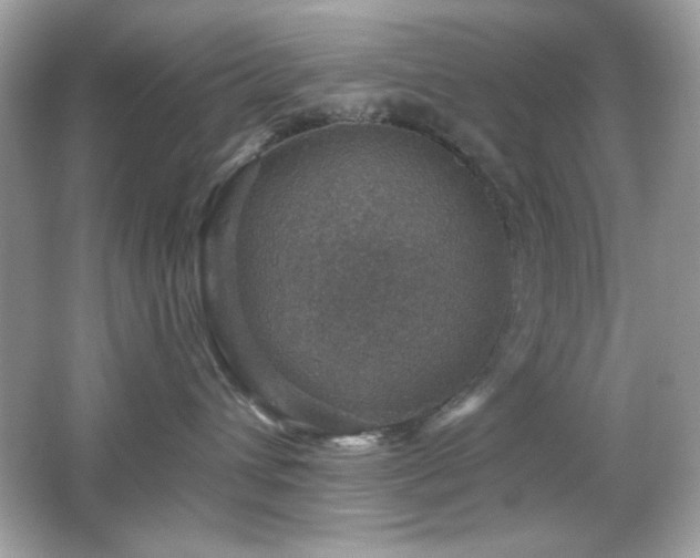 X0000066510432200603171157