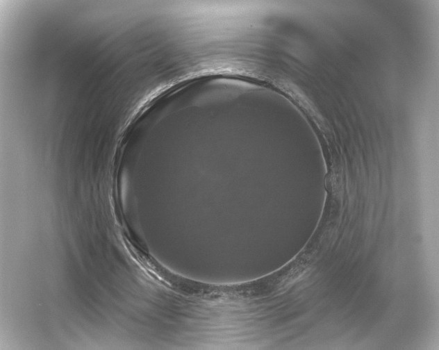 X0000066510434200603171156