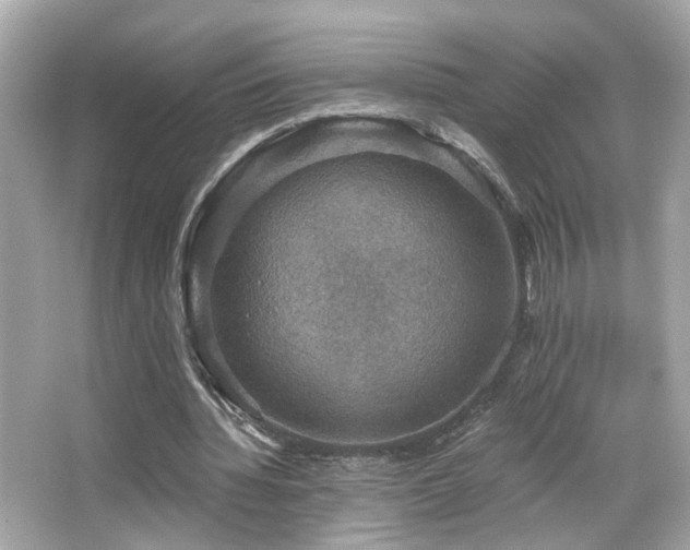 X0000066510436200603171156