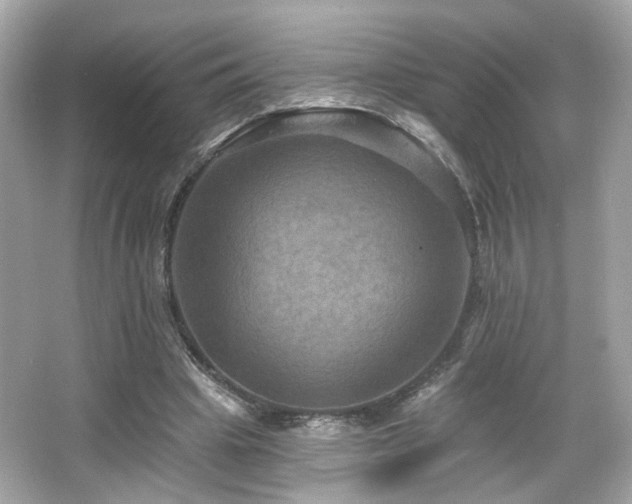 X0000066510441200603171156