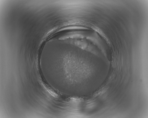 X0000066510442200603171156