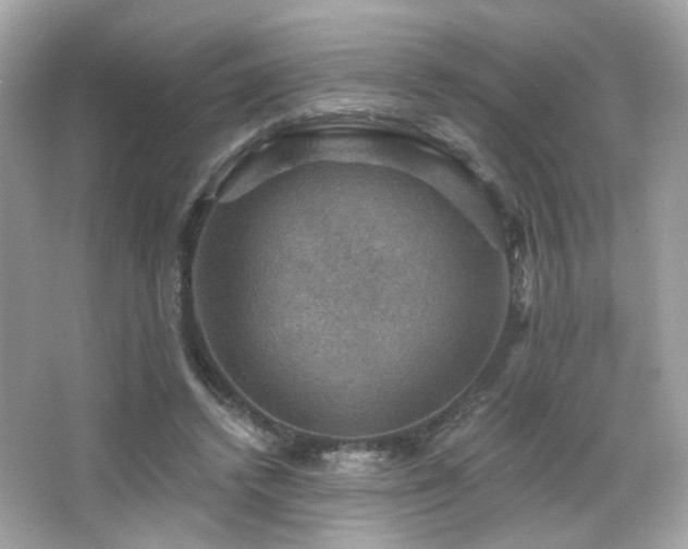 X0000066510448200603171156