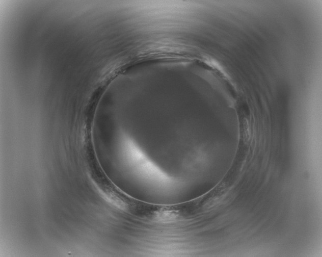 X0000066510451200603171156