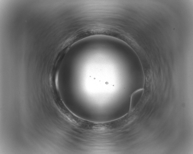 X0000066510454200603171156
