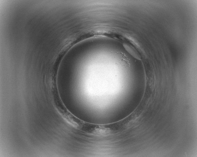 X0000066510455200603171156