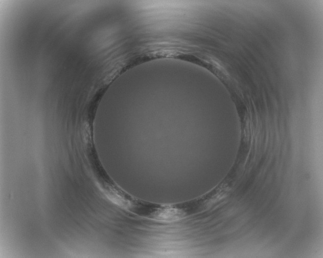 X0000066510459200603171156