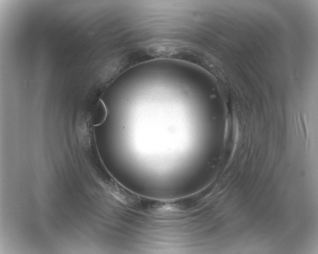 X0000066510460200603171156