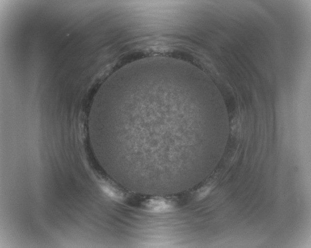 X0000066510464200603171156