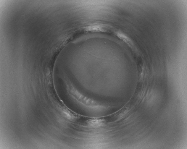 X0000066510465200603171156