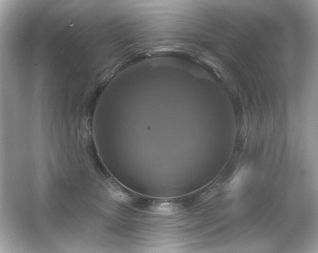 X0000066510467200603171156