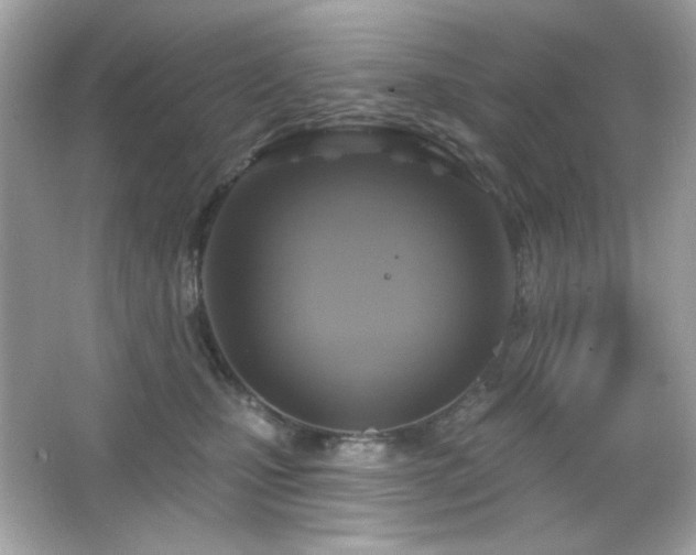 X0000066510471200603171157