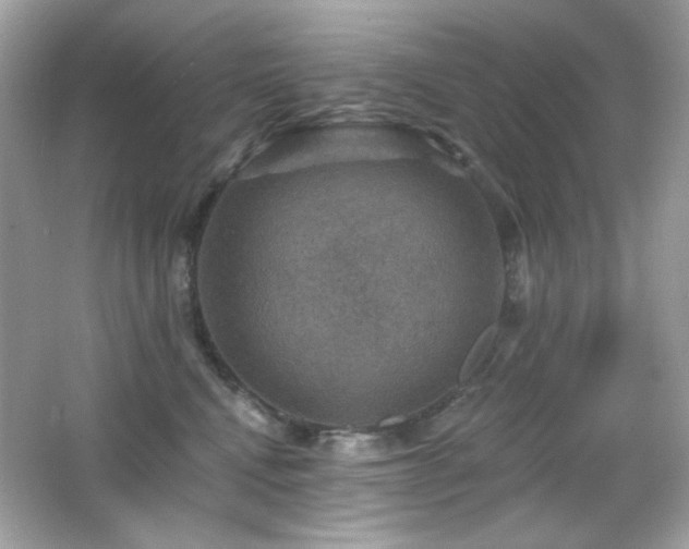 X0000066510472200603171157