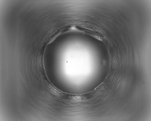 X0000066510473200603171157