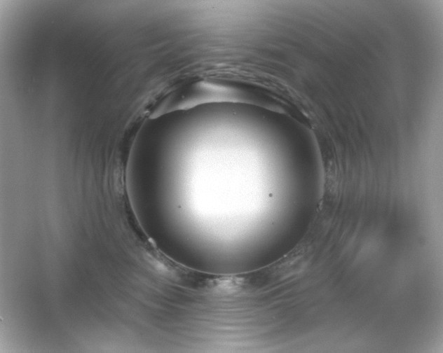 X0000066510474200603171157