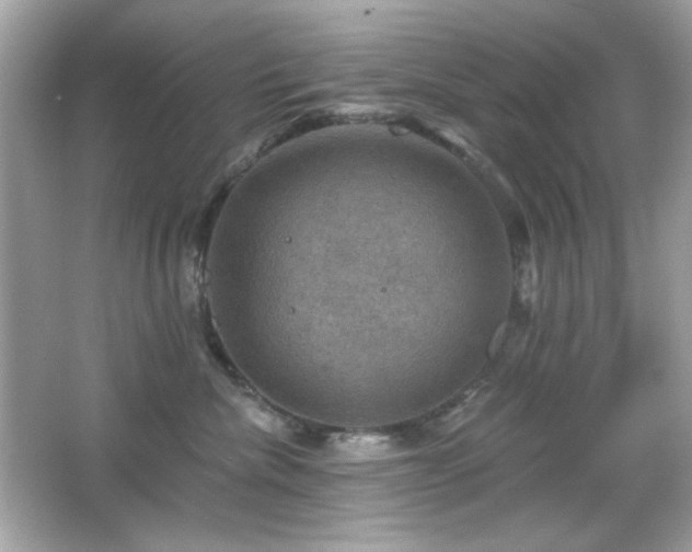 X0000066510476200603171157