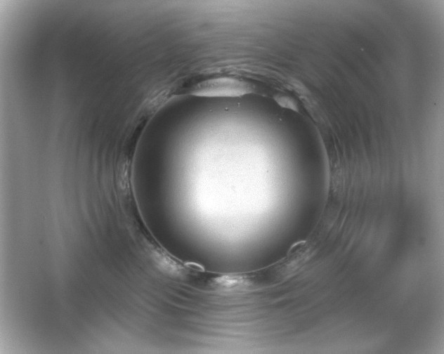 X0000066510477200603171157