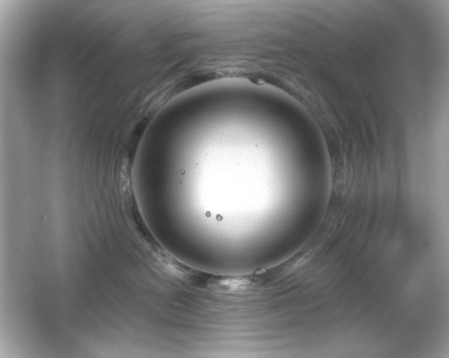X0000066510478200603171157