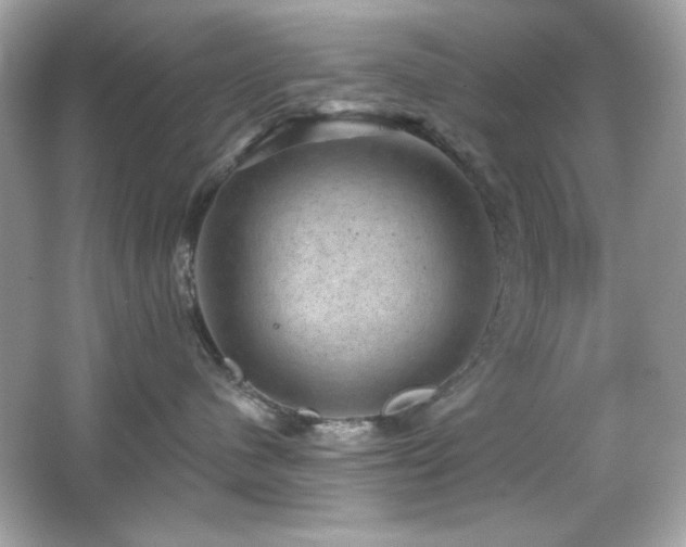 X0000066510480200603171157