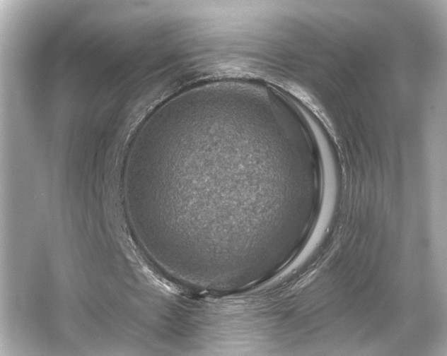 X0000066510481200603171156