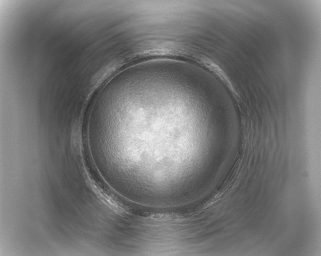 X0000066510482200603171156